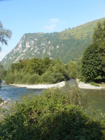 Saligue et ripisylve du Parc national des Pyrénées