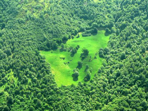 paysages - bordes bien conservées - Observatoire du Parc National des Pyrénées