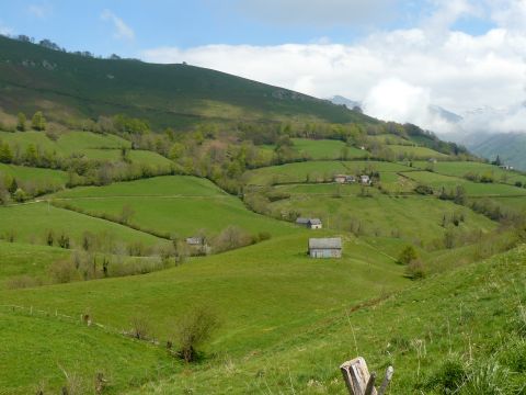 paysages - bocages bien conservés - Observatoire Parc National des Pyrénées