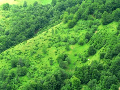 paysages - bordes dégradées - Observatoire du Parc National des Pyrénées