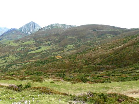 paysages - lande pelouse haute - Observatoire du Parc National des Pyrénées