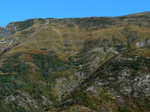 paysages - paysages transition vers la forêt : friches accrus forestier lisières - Observatoire du Parc National des Pyrénées