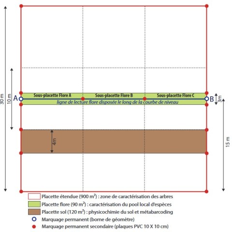 Placette de suivi Plan