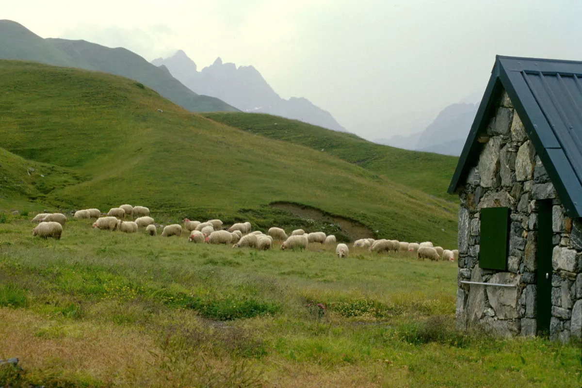 Agropastoralisme - Troupeau de moutons - Maisonnette - Paysage - Photo © VERDIER Chantal - Observatoire du Parc national des Pyrénées