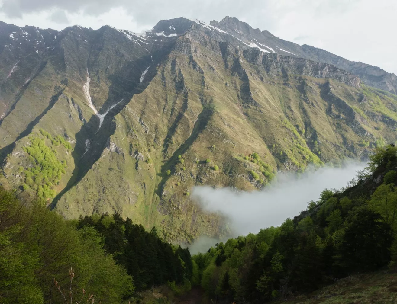 Paysages - Montagnes - Forêt - Nature - Photo © NEDELEC Laurent - Observatoire du Parc national des Pyrénées