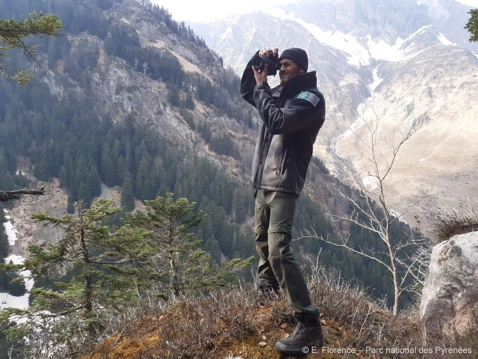 Photo Photographe - Biodiversité - Montagne - Photo © FLORENCE Etienne - Observatoire du Parc national des Pyrénées