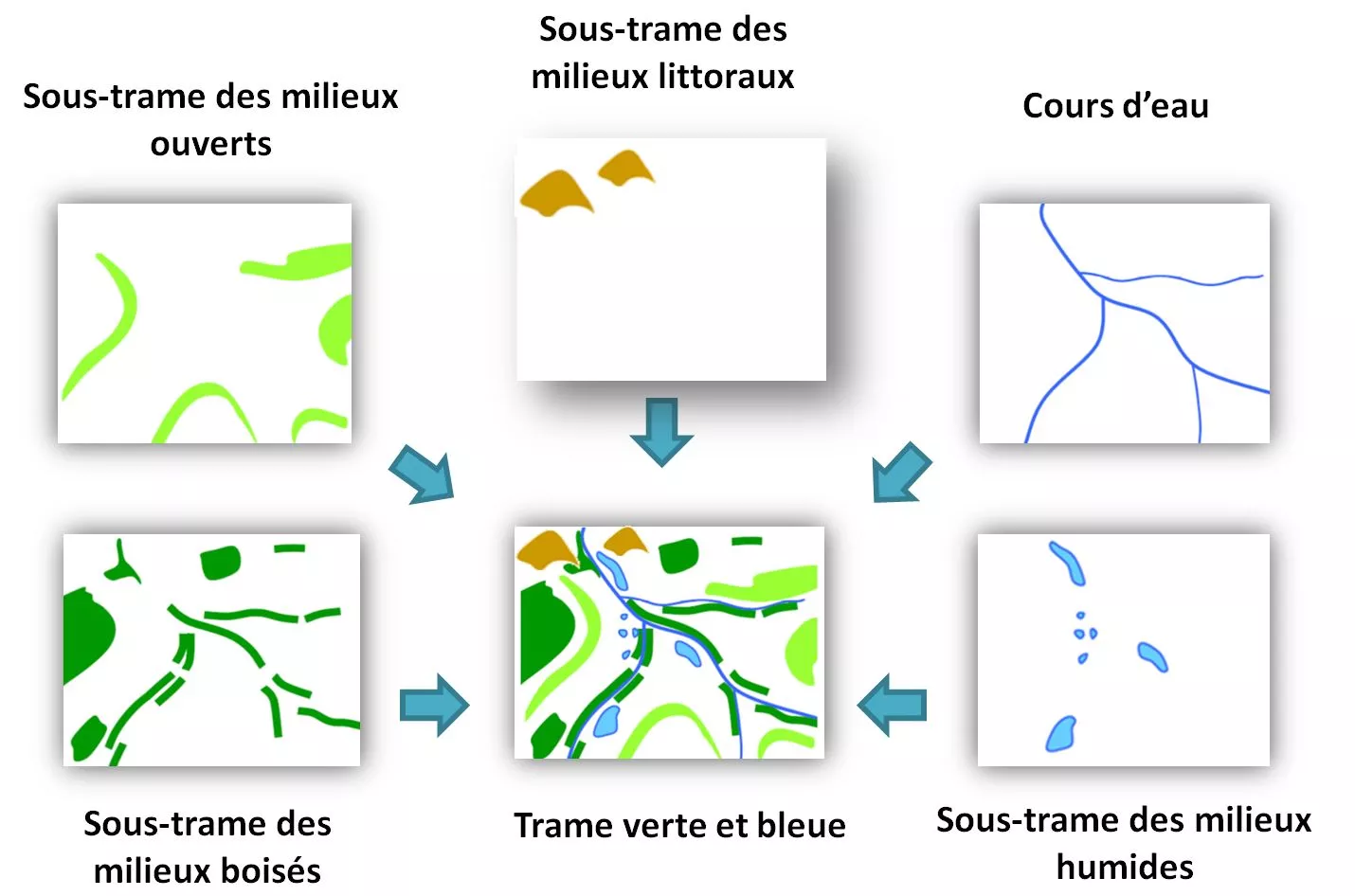 Schéma théorique expliquant les corridors et les réservoirs de biodiversité formant les continuités écologiques (© UMS PatriNat)