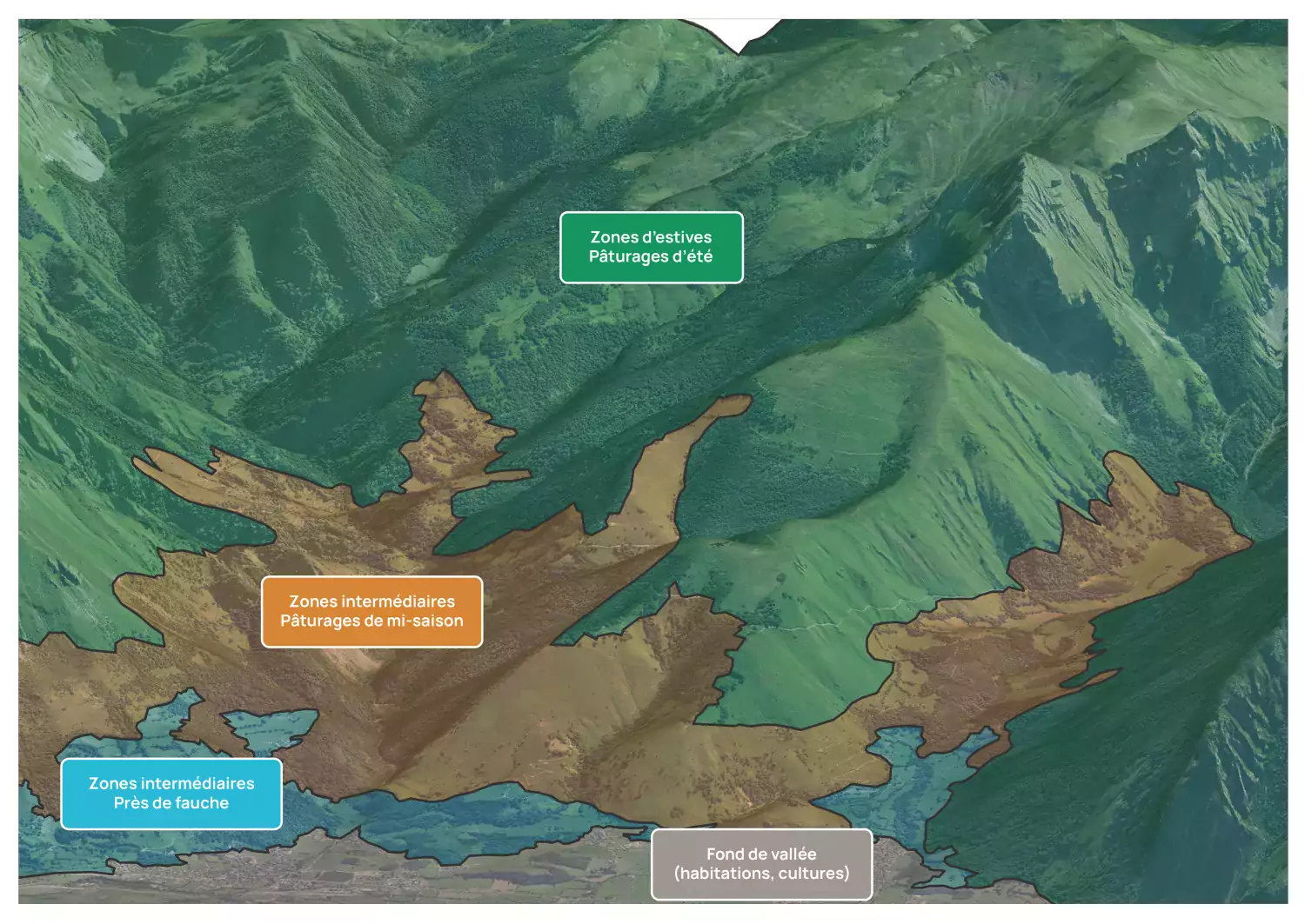 Bloc Diagramme Agropastoralisme © Observatoire du Parc national des Pyrénées