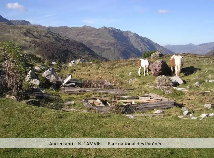 Ancien abri - R camviel
