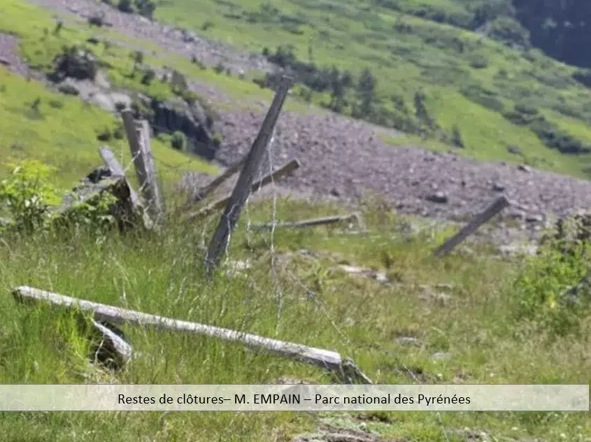 Restes de cloture - M Empain