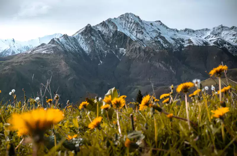 photo biodiversité ordinaire - © ABDELHADI-MORLHON Maël - Observatoire Parc national des Pyrénées