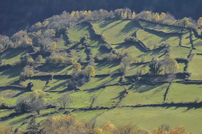 Zone intermédiaire - D Pelletier