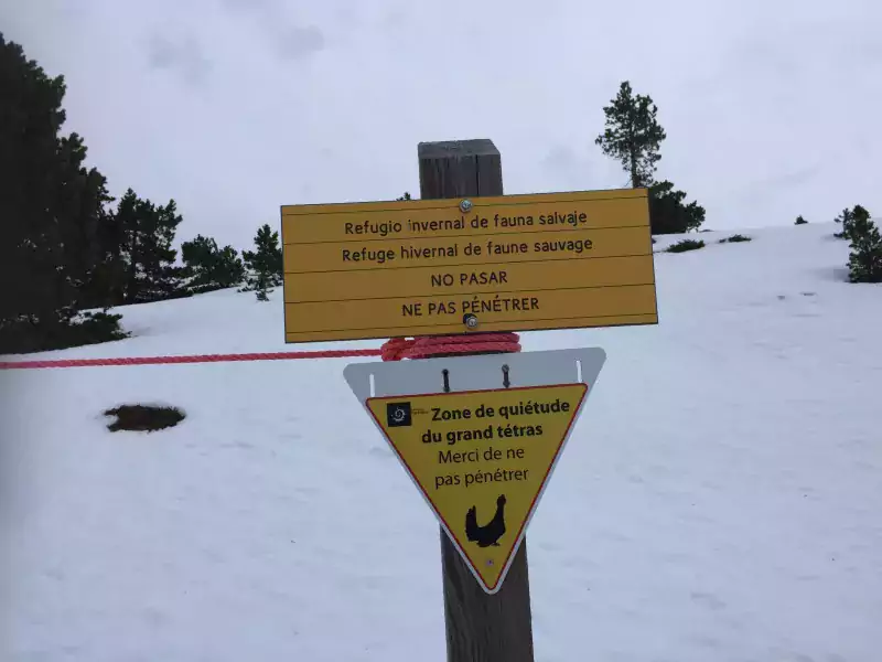 Refuge hivernal pour la faune sauvage - C. BAPT - Parc national des Pyrénées